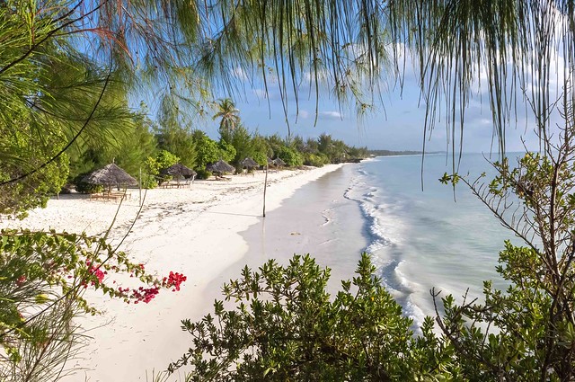 Zanzibar Beach