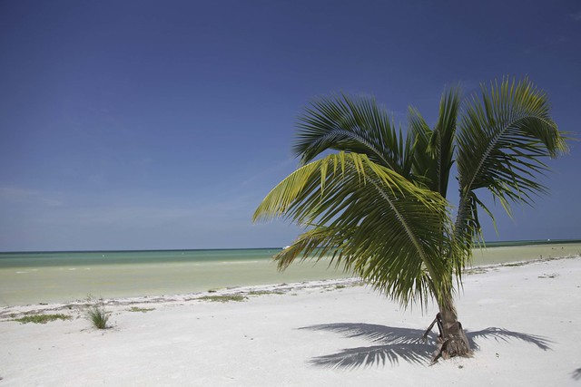 Isla Holbox