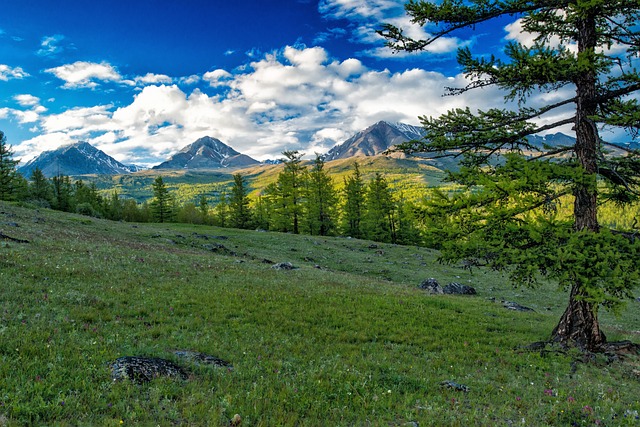 Altai