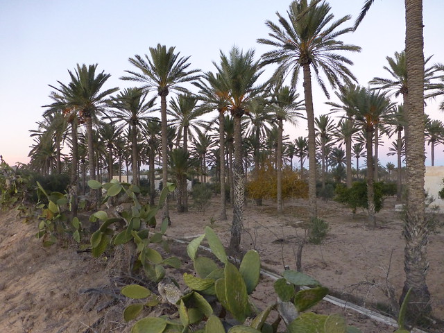 Djerba