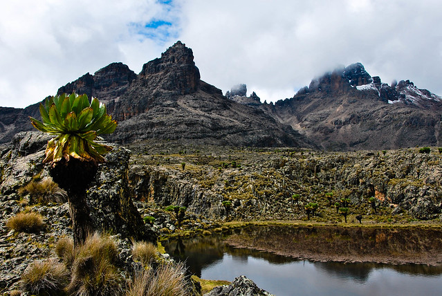 Mount Kenya